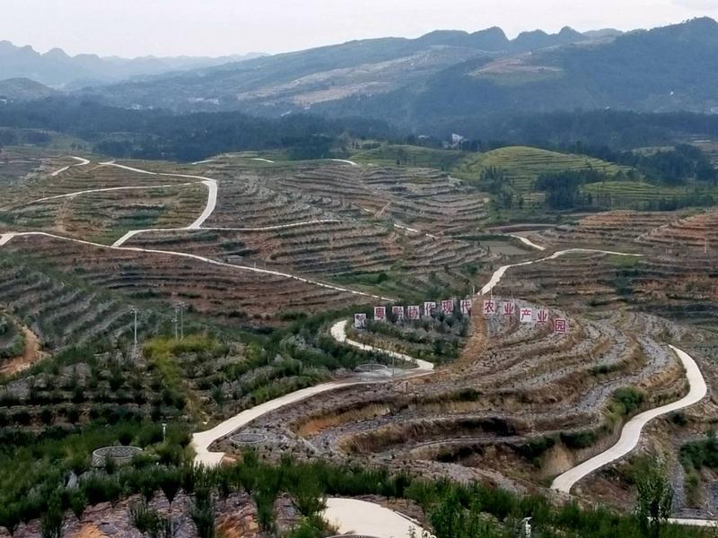 廣黔幫扶:&ldquo;招商引資,以商帶商&rdquo;,白云干部建現(xiàn)代農(nóng)業(yè)產(chǎn)業(yè)園帶領(lǐng)當?shù)厝罕娭赂?></a></div>
<div   id=