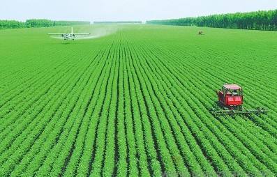 貴州有機(jī)蔬菜與生態(tài)農(nóng)業(yè)發(fā)展前景——以貴州輝煌農(nóng)業(yè)開發(fā)為例